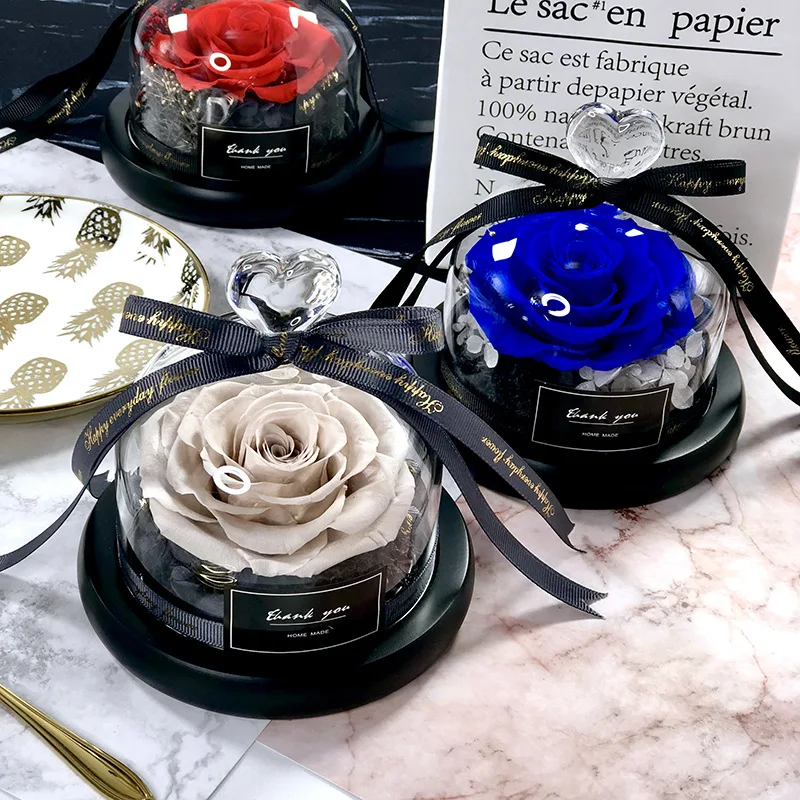 Die Schöne und das Biest rette – Decor Timeless Lighting Bewertung und Preis