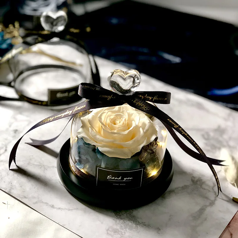 Die Schöne und das Biest rette – Decor Timeless Lighting Bewertung und Preis